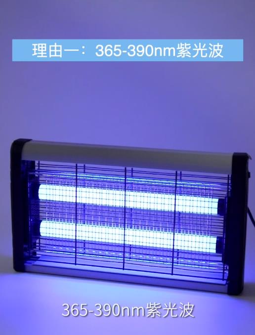 电商短视频-灭蚊灯